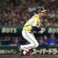 【阪神】23年ドラ１下村海翔が初打点　自身のバットで同点に