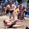 安青錦が大関復帰王手９勝目「体が勝手に動いた」横綱豊昇龍を撃破　左足を引きずる様子も