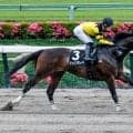 【東海S予想オッズ】ドンインザムードが予想1番人気