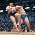 幕内・琴栄峰がップの１敗を守る　終盤戦へ「勝っても負けても悔いの残らないように頑張る」