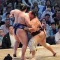朝乃山、７連勝で勝ち越し　トップと１差も「追う側。先のことは気にせず一日一番」