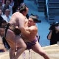 尊富士が５場所ぶり幕内で勝ち越し「ひと安心」トップと１差も「やるべきことをやっていきたい」