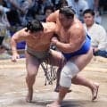朝翠龍は敗れて勝ち越し＆新入幕はお預け　あと１勝で兄朝紅龍との史上14組目の兄弟幕内は確実