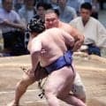 朝乃山７連勝で勝ち越し、トップと１差　39度猛暑も…かき氷と「お上品な」料理で乗りきる