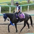 【キングジョージ】アルマカムなど回避で１０頭立てに　出馬投票は日本時間２３日１８時締め切り