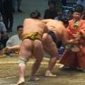 「これは衝撃映像」鉄人・玉鷲、行司を“なぎ倒し”土俵下へ落下「めっちゃ飛んだな」「大被弾」館内騒然