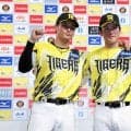 【こんな人】阪神元山飛優は新加入組だけど「悠輔くん」から吸収中…主砲と伏見・浜田の架け橋に