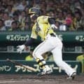 【阪神】坂本誠志郎がV打につなげる犠打と好リード「高寺さまさま。ピッチャーさまさま」