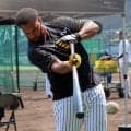 【阪神】ガルシア、入団会見前に甲子園での練習参加「いい状態だと思う」フリー打撃で柵越え４発