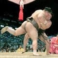 綱とり霧島　勝ち越し決めた！昇進へ逆転狙う　終盤５日間へ自然体貫く「自分の相撲を。あまり考えずに」