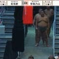 「隙間から千代丸たんw」元人気力士、まさかの場所に“ひょっこり”登場 中継カメラが捉えた“じわる”瞬間が話題
