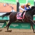 【注目馬動向】米Ｇ１勝ちのテーオーエルビスはＢＣスプリントの前哨戦にコリアスプリントも選択肢　調教師が米国視察へ