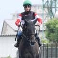 【注目馬動向】３歳牝馬の新星モンローウォークは秋華賞直行かトライアルを挟むかを検討　上村調教師「確実に出せるように」