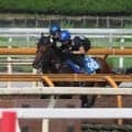 ディアナザール、CBC賞2週前追い切り速報/栗東トレセンニュース