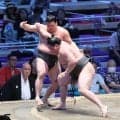 横綱のしこ名継いだ旭富士、連勝記録ストップから再出発星【大相撲】
