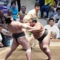 生田目が全勝対決制し６連勝　旭富士の連勝止めた反響も「切り替えて臨めるかが大事」
