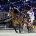ばんえい競馬の最強王者　メムロボブサップが１年半ぶりに負けた　単勝１・１倍も１１連勝でストップ　キングフェスタが大金星