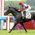 【注目馬動向】５・２億円馬サガルマータは熊野特別で必勝態勢へ　秋は「菊花賞へと思っています」と指揮官