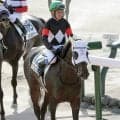 【注目馬動向】アスクエジンバラはセントライト記念での復帰を視野　ウォーターリヒトは富士Ｓ