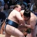 安青錦が完勝で大関復帰へ　琴風氏「足が痛いのに素晴らしい集中力」と絶賛