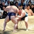 安青錦が１０勝目、大関復帰＆１敗単独首位　綱取りの霧島ら５人が２敗で追う　豊昇龍は７勝目　大の里は５敗目