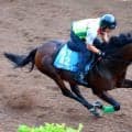 【関屋記念】力強い動き見せたエルトンバローズに杉山晴調教師も手応え　「夏のマイルのチャンピオンになれるように」
