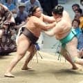 綱取りの霧島が２敗を守る　一山本を退ける　ハイレベルの優勝にぎりぎりの土俵が続く