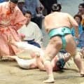 カド番の琴桜が６勝目で白星を先行させる　残り４日間で勝ち越しをかける　宇良に白星
