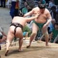 綱とりの大関霧島は２敗守る　安青錦が単独首位、２敗が５人で追う