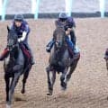 【関屋記念】遅れてきた怪物がついに重賞初挑戦！６戦４勝のアンパドゥに陣営「ここでもやれる馬だと…」