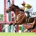 中央復帰で衝撃Ｖのハルオーブがファイナリスト入り　村上卓史オーナー「こんなキャリアの馬がぬいぐるみになるのも…」