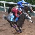 【東海Ｓ】４連勝中の上り馬ドラゴンテイラーは坂路で力強い動き　５１秒７マークに坂井瑠星騎手「悪くないと思います」
