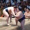 安青錦に敗戦の豪ノ山、まげつかまれたような場面も「まあ、別に」実力不足認める