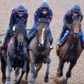 【関屋記念】シンザン記念覇者のサンダーストラックは集中力十分　陣営「状態自体は先週から比べればグンと上がっている」