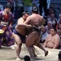 高安が伯乃富士下し９勝目、安青錦に１差追走「ペースを握れている」悲願の初優勝へ自然体【大相撲】