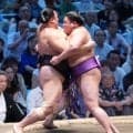 尊富士が朝乃山との“２敗対決”制す「よみがえることも…」24年春場所で負傷した相手