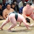 新十両の嵐富士が１０勝目「勝ち越し、２ケタできた。次は優勝。意識はしすぎずに、近い目標に置いて頑張る」