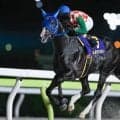 【大井・サンタアニタT結果】リコースパローが逃げ切って重賞3勝目を挙げる