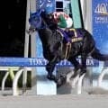 リコースパローがサンタアニタＴ優勝　矢野貴之騎手「まだまだ大きいところで頑張ってくれると思います」