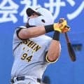 阪神新助っ人が強烈弾　ガルシア「打った瞬間に入ると思った」２軍戦で入団１号　１５２キロを怪力で左中間にぶち込む