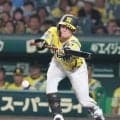 【阪神】中野拓夢「気持ちを切ってしまうのは違う」７回痛恨失策も８回犠打、９回好捕で挽回