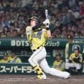 【阪神】伏見寅威が移籍後初猛打賞　藤川監督もべた褒め「たくさんの選手が学んでいかなければ」