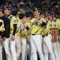【阪神】VS藤浪で光った伏見虎威の姿勢　藤川監督「厳しい勝負に仕掛けていって」