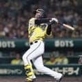 阪神・森下　八回落球でピンチ招きベンチで怒り→直後に執念Ｖ犠飛　５カード連続勝ち越し、９連戦単独首位締め