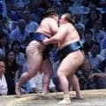 安青錦　大関返り咲き決めた　豪ノ山寄り切り１０勝目　１敗堅守で優勝との同時達成も「熱い相撲を見せたい」