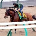 【クイーンＳ】昨年２着のココナッツブラウンは札幌ダートで小気味よい脚取り　陣営「舞台は一番合っている」