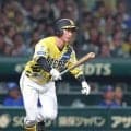 【解説】岡義朗氏　阪神・近本の技術と集中力が凝縮された二塁打　ＤｅＮＡ藤浪は対右打者の投球を磨けば勝利数稼げる