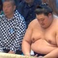 大の里がまたも惨敗 「悪い癖が出ました」実況＆解説が口を揃えて…“横綱らしからぬ動き”に館内も悲鳴