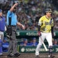 阪神　大山悠輔ＶＳ藤浪晋太郎で注目集めたシーン　死球後に向けられた笑顔　同学年のドラフト１位同士「甲子園という舞台でマウンドと打席で立てたというのが」