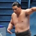 イケメン力士の大森が「油マシマシ」で５勝目　兄弟子に指摘されてびん付け油たっぷり